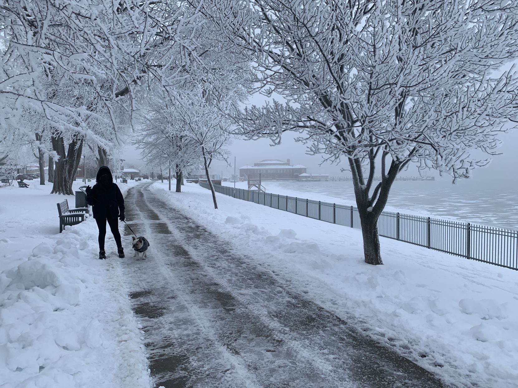 A good day for a walk